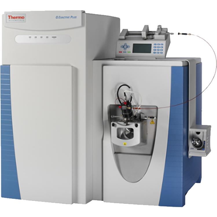 Thermo QE Plus高分辨质谱仪